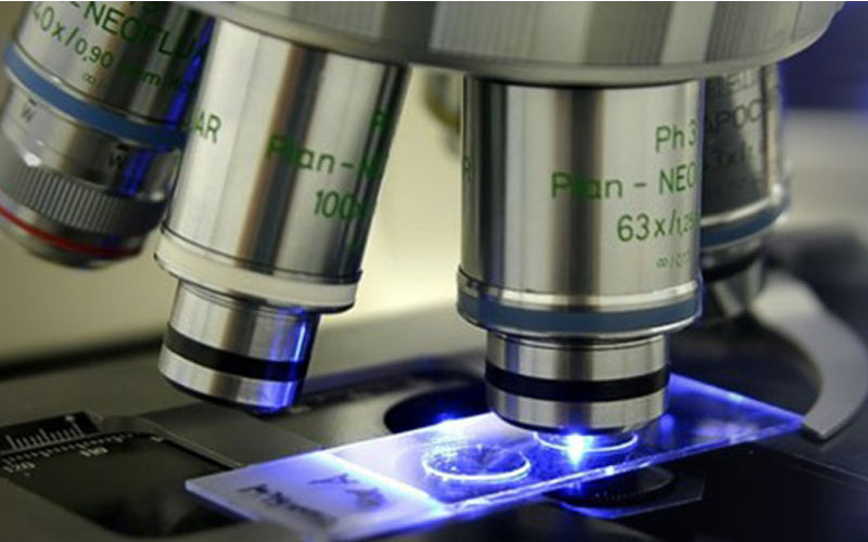 Macro Etching Testing